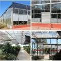 Steel Structure Green House/Vegetable Warehouse (DG1-024)